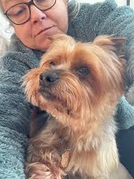 Hello! I'm Baxter and my new pawrents adopted me in November. I am already  11 years old and now have a big brother called Rufus who I'm gradually  winning over.