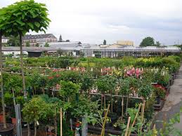 Alter stammheimer weg 50735 köln. Alexianer Klostergartnerei In Koln Garten Und Landschaftspflege