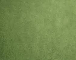 Minky Tissu Minky Tissu Velours Tissu Minkee Minky Poil Ras Minky Vert Kiwi Minky Au Coupon Fabric Minky Shannon