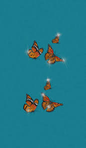 Premium selection of designer fabrics & wallpapers. Bling And Butterfly Wallpaper Bling Wallpaper Butterfly Wallpaper Blue Butterfly Wallpaper