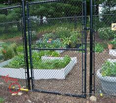 How can you keep groundhogs out of your garden. Install A Solar Powered Fence To Keep Groundhogs Out Of The Garden Gardening4joy
