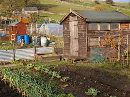 Im durchschnitt kostet die pacht etwa 72 bis 150 euro im. Tipps Fur Den Schrebergarten Meine Kartenmanufaktur De