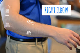 The bony bump on the outside of your elbow is known as the lateral epicondyle. Lateral Elbow Pain Tennis Elbow Mid County Physical Therapy