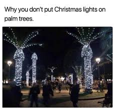 Palmtrees Christmaslights Memes Christmas Hawaii Christmas Memes Christmas Memes Funny Christmas Humor
