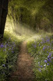 Pin On Beauty Of Nature