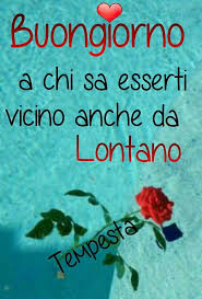 Buongiorno Buongiorno Immagini Romantiche Buongiorno Immagini
