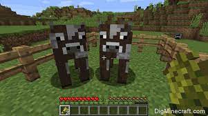 The parent cows have a cooldown of 5 minutes before they can breed again. How To Breed Cows In Minecraft
