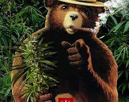 Just recently, his puff puff pass method got out of control! Different Forms Of Cannabis Substance Cannabis Market