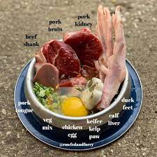Going Raw Raw Dog Food Diet Raw Dog Food Recipes Dog Raw Diet