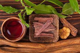 245 Ayahuasca Photos Free Royalty Free Stock Photos From Dreamstime
