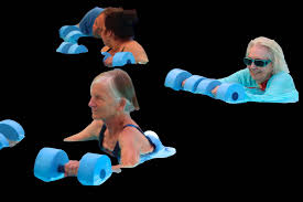 Fall 2024 The View Newsletter