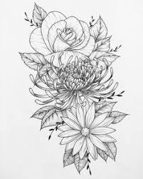 Chrysanthemum flower tattoo inspired colouring page hand drawn pen and ink illustration interpretation of a chrysanthemum flower tattoo design hand drawn by artist khana evans. 16 November Birth Flowers Ideas Flower Tattoos Chrysanthemum Tattoo Birth Flowers