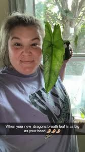 Yall…. Look at my new leaf🥲🥲🥲