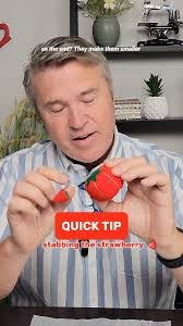 Diane Papp's Instagram, Twitter & Facebook