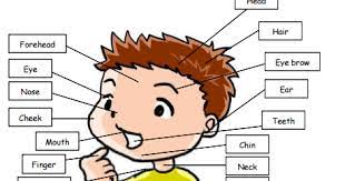 Maybe you would like to learn more about one of these? Latihan Bahasa Inggris Kelas 5 Sd Themed Our Bodies Sd Negeri Tambaharjo