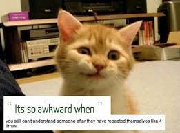 35 Of The Most Awesome Ideas People Had When They Were High Intp Personality Intp Personality Type Intp