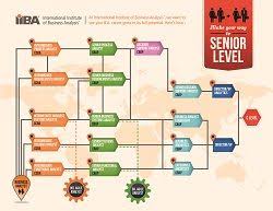 Business Analyst Career Road Map Iiba International Institute Of Business Analysis Business Analyst Career Business Analyst Business Analysis