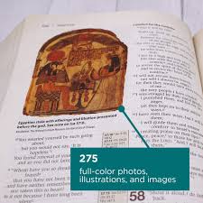 The array of resources presented and the depth of research made accessible could almost be described as incredible. Niv Cultural Backgrounds Study Bible Bringing To Life The Ancient World Of Scripture Keener Craig S Amazon Com Books