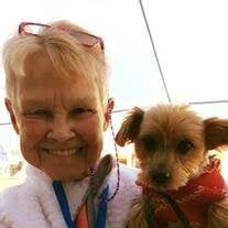 Mary E. Welliver Obituary