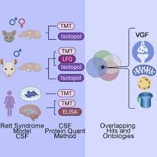 Image result for CSF Protein