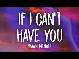 Shawn Mendes If I Can T Have You Lyrics Youtube Yours Lyrics Cant Have You Youtube Videos Music