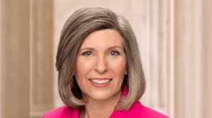 Melahat Rafiei donates $250 to James D. Scholten's campaign committee in Q2  2020