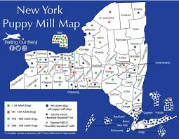 The 2021 paws humane society pet calendar is back! New York Pet Store Puppy Mill Connection Bailing Out Benji