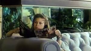 It is an american remake of the 1994 french film un indien dans la ville (also known as little indian, big city). Un Indien Dans La Ville Chronique D Un Succes Inattendu Premiere Fr
