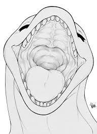 We do allow criticism of the. Whale Mawshot Furaffinity Vore Stationery Redbubble We Aim To Be A Friendly Community To Discuss And Share Pictures Stories Videos Sale Journals And Adoptables Along With Discussion About The Furaffinity