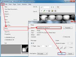 Convert From Mdi Microsoft Document Imaging To Pdf Novapdf