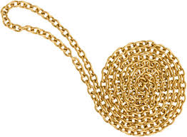 Image result for Yellow 2016 Fleet