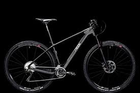 Jealous Radon Bikes Mountenbike