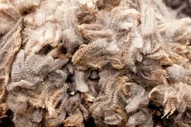 Maybe you would like to learn more about one of these? Beige Wikipedia