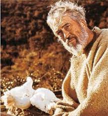 El Arca De Noe Pelicula Completa En Espanol Para Ninos Habitos De Ninos