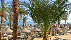 Where the location of marlin in azur offers you an easy access to hurghada walkway. Dessole Marlin Inn Beach Resort Ing Youtube