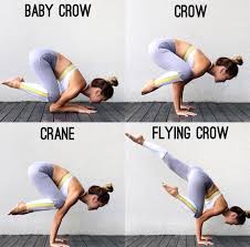 Yoga Asana From Baby Crow To Flying Crow Easy Yoga Workouts Yoga Postures Yoga