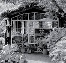 About leichen aus nachbars garten (ft. Lebe Deinen Traum Het Tuinpad Op In Nachbars Garten