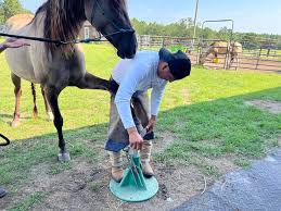Profile for Victor's farrier service