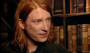 Which Weasley Are You At The Dining Table Domhnall Gleeson Harry Potter Weasley Aesthetic Star Wars Actors He was born on november 29, 1970 at the burrow, the weasley family's thoroughly magical home, on the. domhnall gleeson harry potter