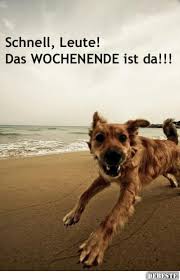 Schnell Leute Das Wochenende Ist Da Lustige Bilder Sprüche