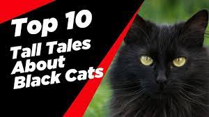People Are Superstitious And Animals Can Get Mixed Up In Their Beliefs Sometimes To The Point Of Endangering Species Few Animals Ho Black Cat Tall Tales Tales