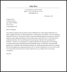 Professional Direct Support Professional Cover Letter Sample Writing Guide Resume Now