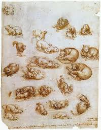 Etude De Mouvements Et De Positions De Chats Study Of Cat Movements And Positions Da Vinci Drawings Renaissance Art Leonardo Da Vinci
