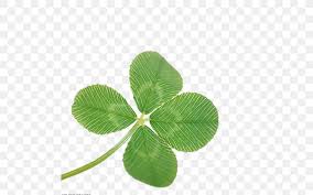 Maybe you would like to learn more about one of these? Four Leaf Clover Four Leaf Clover Png 500x513px Leaf Clover Drawing Fourleaf Clover Green Download Free