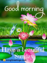 Maybe you would like to learn more about one of these? 50 Good Morning Happy Sunday Images Morning Greetings Morning Quotes And Wishes Images