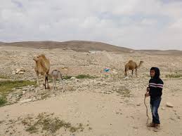 He also retweeted another statement from parler user. Touching Peace In Palestine Plum Village