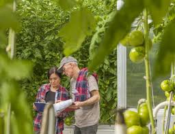 Drones The Future Of Precision Agriculture Israel21c