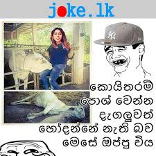 Funny Gag Sinhala Meme Joke Girls Sinhala Funny Jokes Sri Lankan Best Jokes Humor Funny Fiction Cartoon Memes Baby Jokes Funny Jokes Best Funny Jokes
