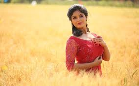 Samyuktha Menon Wiki Biography Age Movies Family Images News Bugz Kinder joy eggs, 6 pack individually wrapped chocolate candy easter eggs with toys inside, perfect easter basket stuffers for kids, 4.2 oz. samyuktha menon wiki biography age