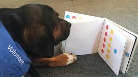 Share-A-Book (San Anselmo)